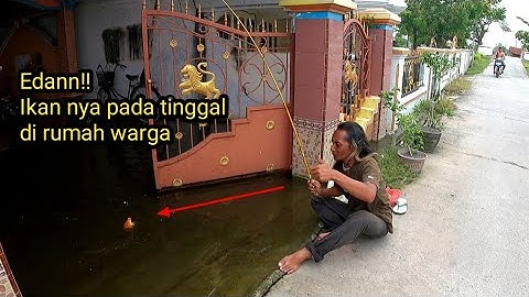 Bikin iri para pemancing!! mancing di depan rumah bisa strike berkali kali