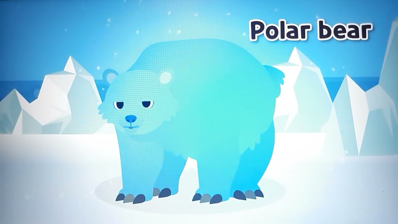 Ninikids: All 14 Rainbow Arctic Animals