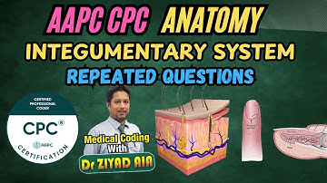 Anatomie en medische terminologie Vragen en antwoorden MCQ
