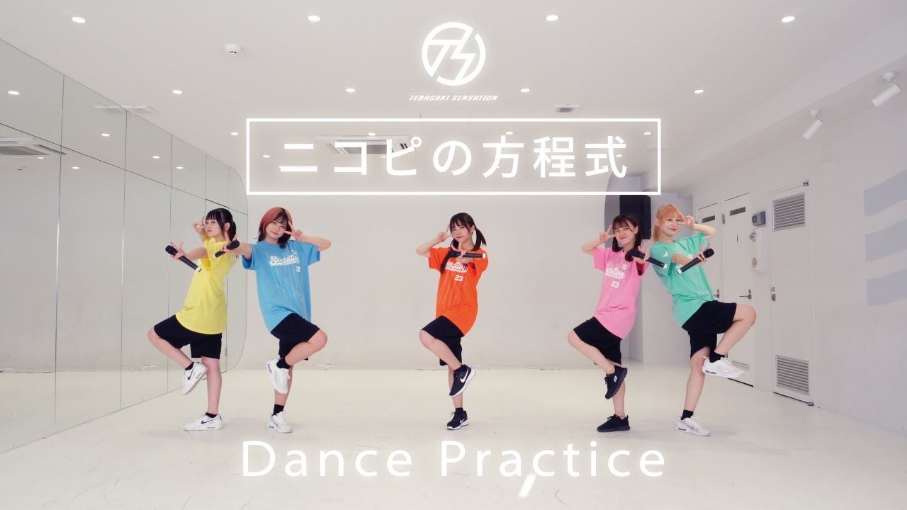 手羽先センセーション「ニコピの方程式」 / Dance Practice