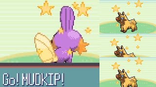 Live Shiny Mudkip after 12,752 Soft Resets and 3 Shiny Poochyenas