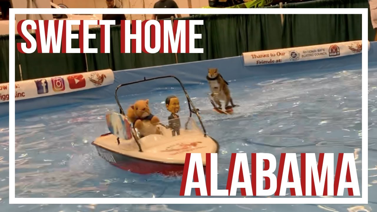 SWEET HOME ALABAMA TENNESSEE VALLEY HUNTING AND FISHING EXPO YouTube