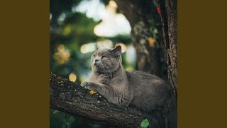 Sumptuous Smooth Jazz Saxophone - Vibe for The Happiest Cats