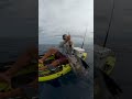 CATCHING GIANT SAILFISH ON A KAYAK!