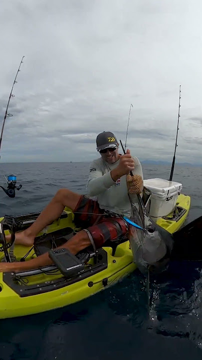 CATCHING GIANT SAILFISH ON A KAYAK!