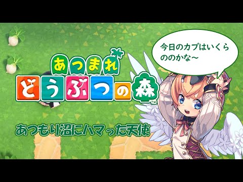 【あつ森】カブの買値はいくらののかな・・・【Vtuber】