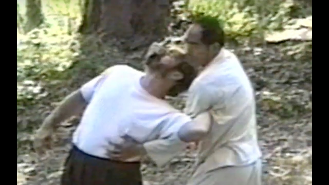 八卦掌 BAGUA ZHANG Dragon Palm Applications