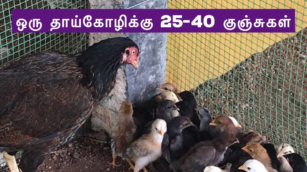  25 40 YouTube