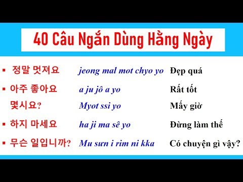 Video 40 Câu Tiếng Hàn Giao Tiếp Cực Ngắn - Dùng Hằng Ngày |... - youtube