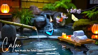 Zen Spa Music - Dawn Bamboo Reverie: Soft Piano and Soothing Stone Garden Water for Meditation