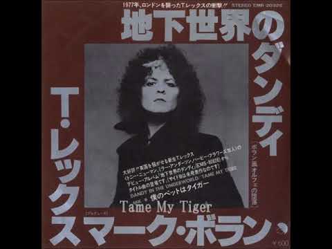 ｔ レックスt Rex 僕のペットはタイガーtame My Tiger 1977年 Youtube