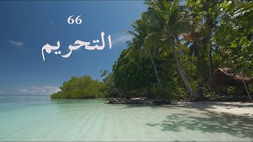 66 سورة التحريم _ عبدالملك عقيل