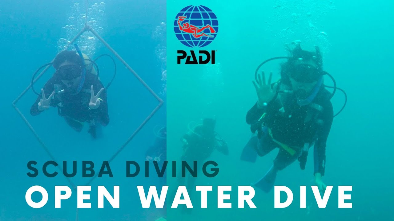 刁曼島潛水 VLOG 🤿 - 我考到PADI OW潛水證啦！🤿 海底世界真的好漂亮 🐟🐡 潛水真的好好玩！馬來西亞潛水勝地！第一天差點選擇中途退出？！考證真的那麼難嗎？🇲🇾 // 2022