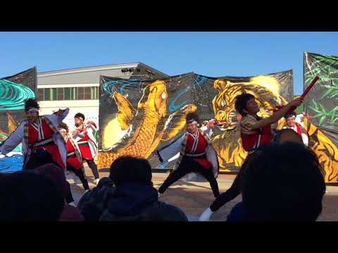 岐聖祭 名古屋学生チーム『鯱』