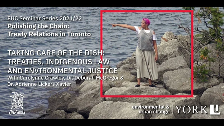 Taking Care of the Dish: Treaties, Indigenous Law ...