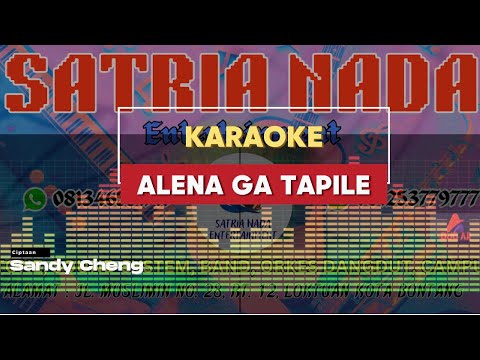 KARAOKE ALENAGA TAPILE | LAGU BUGIS