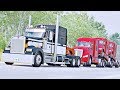 Trucks to Gulfport | American Truck Simulator
