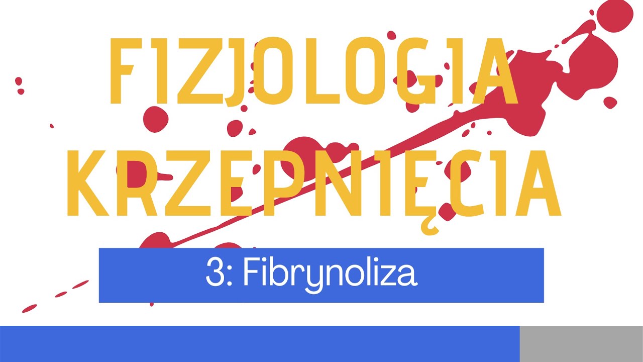 Fizjologia krzepnięcia 3: Fibrynoliza — Transcript