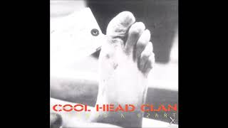 Cool Head Clan - szarparti