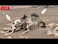 NASA Perseverance Rover Latest Image SOL 1817 | Mars Live News | Mars hd photos | Marte