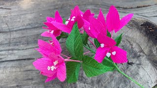 ABC TV | How To Make Lesser Bougainvillea Flowers With Crepe Paper - Craft Tutorial