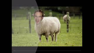 Pewdiepie Baaaaa Baaaa Baaa