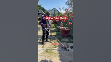 Cắt Cỏ - Chăm Sóc Sân Vườn - Làm Vườn - Cắt Cây Hoa Kiểng - Làm Vườn #0917183271