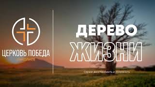 ДЕРЕВО ЖИЗНИ - Илья Перевознюк (27.11.2022) | Аудио