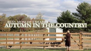 Chilly Autumn Days On The Farm!
