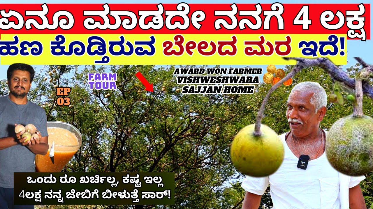"ಒಂದು ರೂ ಖರ್ಚಿಲ್ಲ, ಕಷ್ಟ ಇಲ್ಲ 4ಲಕ್ಷ ನನಗೆ ಬರುತ್ತೆ! ಈ ಮರದಿಂದ!-E03-Vishweshwara Sajjan-Kalamadhyama