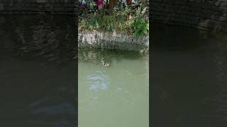 Ennavoru Ennavoru னவர அழகயட..