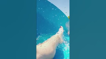 The Most Dangerous Water Slide in the World 😱🌊