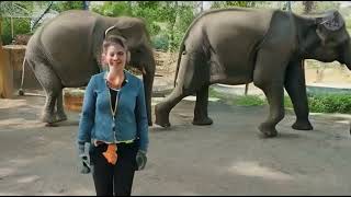 Me at the zoo (with ai animals).