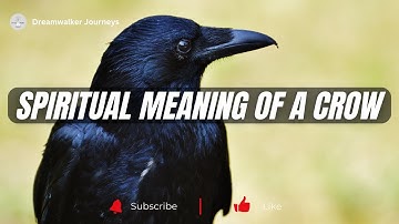 Spiritual Meaning of a Crow