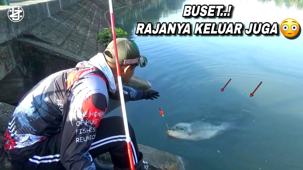 Gak masuk akal..! Mancing baru datang langsung panen
