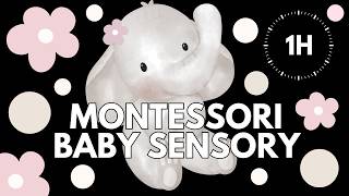 Montessori Baby Sensory 🩷 | Soft Elephant Visuals | Low Stimulation | Calm Music | 1 Hour screenshot 3