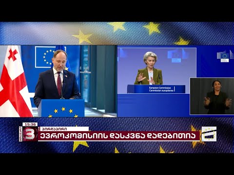 ევროკომისიის დასკვნა | მთავარის საგანგებო ეთერი