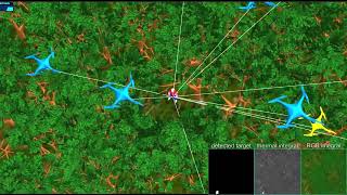 Information Synthetic Aperture Sensing for Occlusion Removal with Drone Swarms Guide