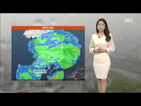 [날씨] 전국에 비…남해안 최고 50mm 더 온다 / SBS
