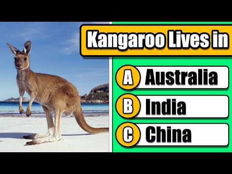 Easy General Knowledge