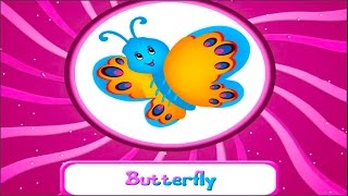 WORLD OF INSECTS A-Z GAME APP WITH 26 INSECTS - REAL LIFE IMAGES WITH BUTTERFLY BUGS BEES AND MORE screenshot 1
