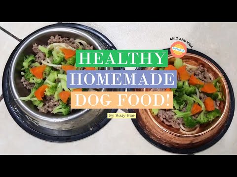 simple-healthy-homemade-dog-food-recipe-|-first-dog-haircut