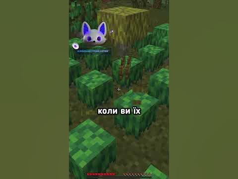 МОД ЯКИЙ ДОДАЄ СПРАВЖНІЙ ЧАЙ В МАЙНКРАФТ!!! #minecraft #shorts - YouTube