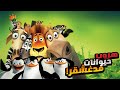 أربع حيوانات بيقرروا بيهربوا من الحديقه علشان يروحوا يعيشوا في البراري ملخص فيلم Madagascar 1 
