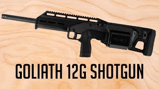 [Payday 2] Goliath 12G Shotgun