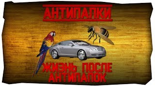 Жизнь После АнтиПапок