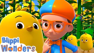 surprise look who hatched spring blippi wonders educational