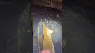 Is she being scammed? #crawlspace #homeinspection #construction #builder #home #diy