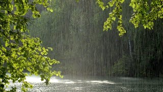 Шум дождя, пение птиц | The sound of rain, birdsong