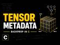 Building Back Propagation from Scratch in C | Tensor Metadata